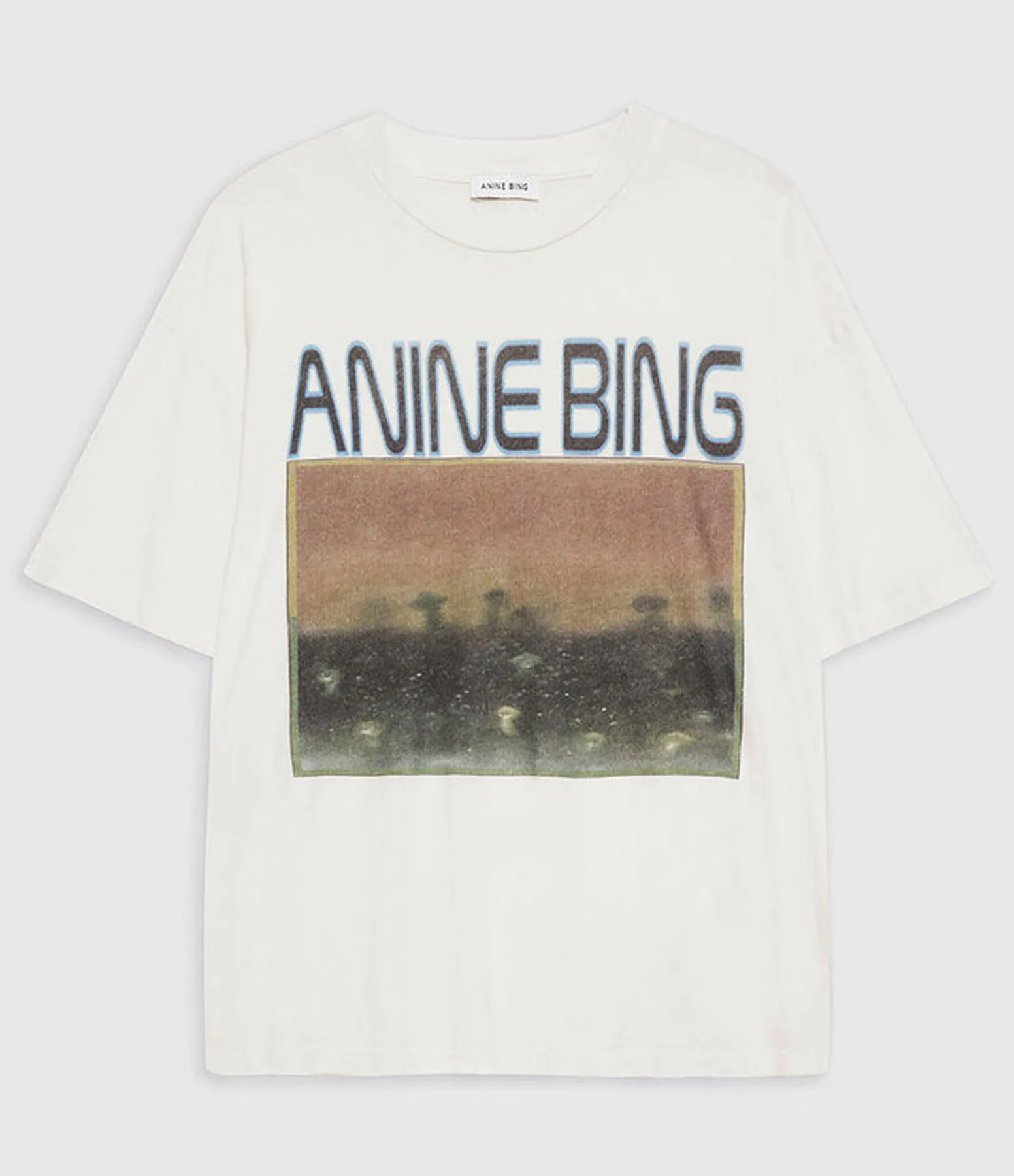 ANINE BING Partager  Tee-Shirt Cade Off White  