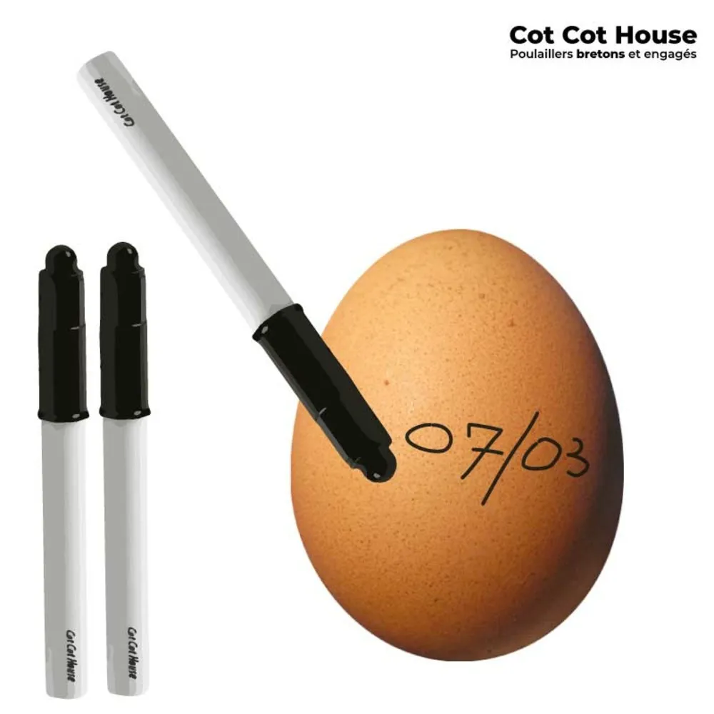Stylo feutre alimentaire noir spécial œuf - lot x3